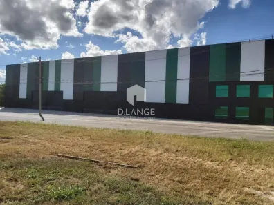 Galpão/Depósito/Armazém para alugar, 2230m² no Jardim Primavera, Mogi Mirim