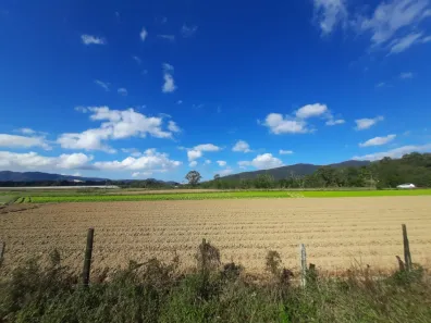 Lote/Terreno à venda, 30000m² no Área Rural de Biguaçu, Biguaçu