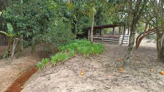 Fazenda/Sítio com 4 Quartos à venda, 17000m² no Centro, Cunha