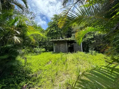 Lote/Terreno à venda, 1049m² no Praia de Fora, Palhoça