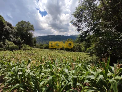 Fazenda/Sítio à venda, 33798m² no Galópolis, Caxias do Sul