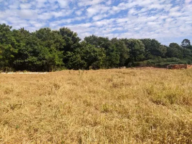 Fazenda/Sítio à venda, 510m² no Residencial Anita Tiezzi, Presidente Prudente