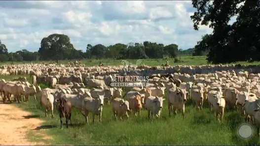 Fazenda/Sítio à venda, 879450000m² no Jardim Paraíso, Cáceres