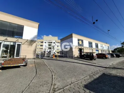 Apartamento com 2 Quartos para alugar, 61m² no Aririú da Formiga, Palhoça