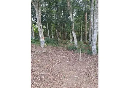 Lote/Terreno à venda, 2500m² no Boa Vista, Mogi das Cruzes