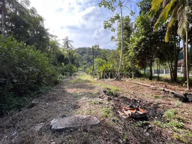 Lote/Terreno à venda, 693m² no São Pedro, Guabiruba