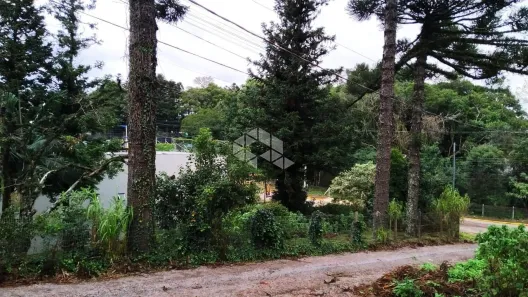 Lote/Terreno à venda, 561m² no , Nova Petrópolis