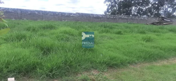 Lote/Terreno à venda, 258m² no Residencial Samambaia, São Carlos
