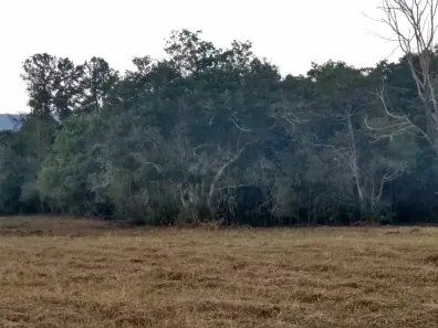 Lote/Terreno com 1 Quarto à venda, 12000m² no São Benedito, São Pedro