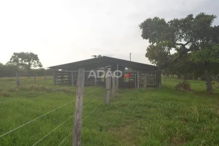 Fazenda/Sítio à venda, 20m² no , São Miguel do Passa Quatro