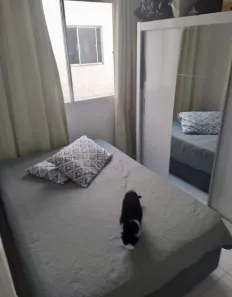 Apartamento com 2 Quartos à venda, 41m² no Restinga, Porto Alegre