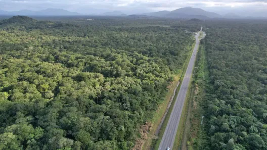 Lote/Terreno com 1 Quarto à venda, 450m² no , Guaratuba