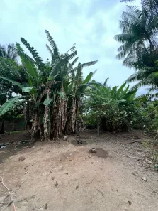 Lote/Terreno à venda, 1120m² no Praia das Palmeiras, Caraguatatuba