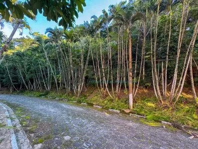 Lote/Terreno à venda, 553m² no Balneário Praia do Pernambuco, Guarujá