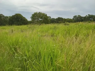 com 2 Quartos à venda, 120m² no Área Rural de Rondonópolis, Rondonópolis