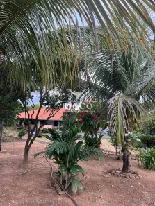 Fazenda/Sítio com 4 Quartos à venda, 5m² no Setor Central, Uruaçu