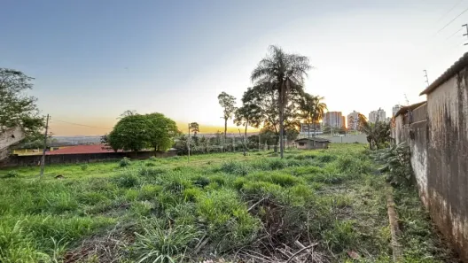Lote/Terreno com 1 Quarto para alugar, 5m² no Terra Bonita, Londrina