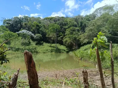 Fazenda/Sítio à venda, 48000m² no Comunidade Urbana de Rio Grande, Guarapari