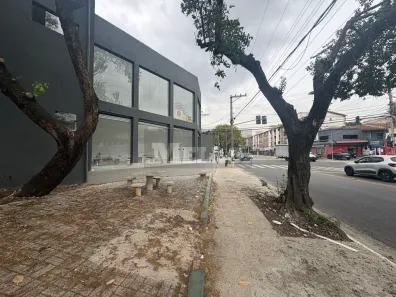 Ponto Comercial para alugar, 333m² no Planalto Paulista, São Paulo