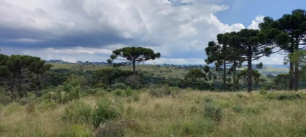 Lote/Terreno com 1 Quarto à venda, 20000m² no , Urubici