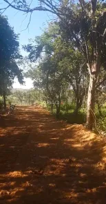 Fazenda/Sítio à venda, 20000m² no , Bela Vista de Goiás