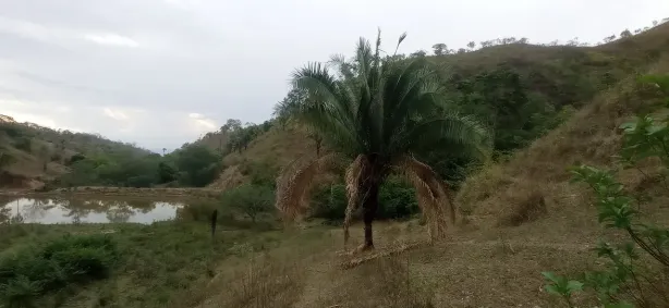 Fazenda/Sítio com 2 Quartos à venda, 1450000m² no Sobradinho, Brasília