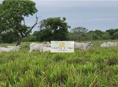 Fazenda/Sítio com 10 Quartos à venda, 1000m² no Centro, Rondonópolis
