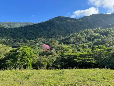 Fazenda/Sítio com 10 Quartos à venda, 800m² no Caçador, Itaguaí