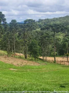 Lote/Terreno à venda, 24200m² no Laranjeiras, Campo Alegre