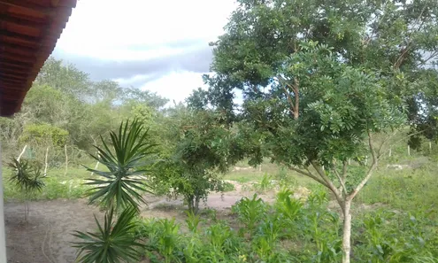 Fazenda/Sítio com 3 Quartos à venda, 11880m² no Retiro, Coração de Maria