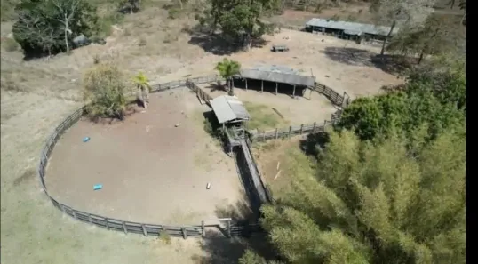 Fazenda/Sítio com 3 Quartos à venda, 1180m² no , Poconé