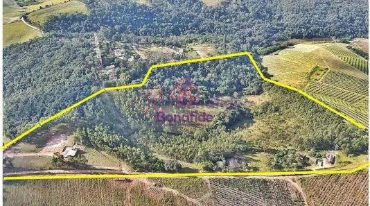 Fazenda/Sítio à venda, 125000m² no Roseira, Jundiaí