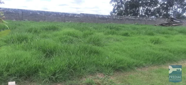 Lote/Terreno à venda, 258m² no Residencial Samambaia, São Carlos