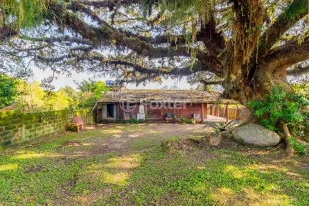 Casa com 6 Quartos à venda, 480m² no Lageado, Porto Alegre