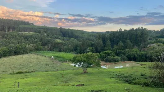 Fazenda/Sítio com 3 Quartos à venda, 300m² no Colônia Dona Luíza, Ponta Grossa