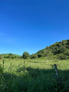 Fazenda/Sítio com 3 Quartos à venda, 8000m² no , Flexeiras
