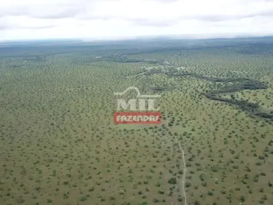 Fazenda/Sítio à venda, 500m² no , Cocalinho