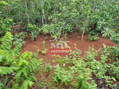 Fazenda/Sítio à venda, 500m² no , Cavalcante