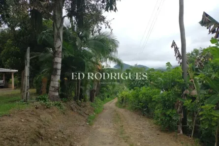 Fazenda/Sítio com 2 Quartos à venda, 73000m² no , Pedro de Toledo