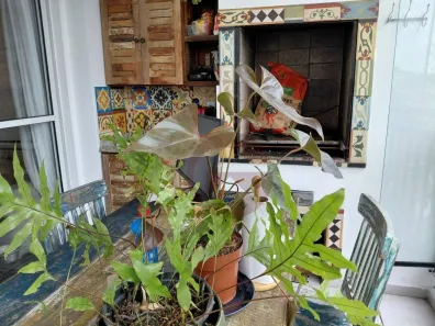 Apartamento com 2 Quartos à venda, 67m² no Vila Gomes, São Paulo