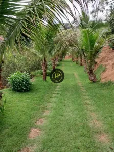 Fazenda/Sítio com 3 Quartos à venda, 35000m² no , Santa Leopoldina