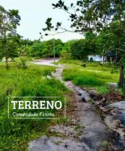 Lote/Terreno à venda, 3200m² no Novo Aleixo, Manaus