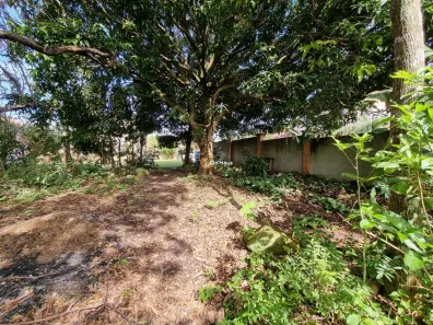 Lote/Terreno à venda, 407m² no Rio Tavares, Florianópolis
