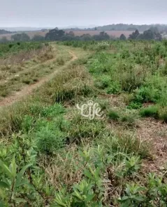 Lote/Terreno à venda, 242000m² no Veneza, Fazenda Rio Grande