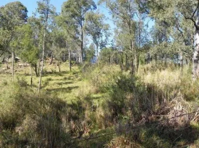 Lote/Terreno à venda, 20345m² no Monte Alegre, Vinhedo