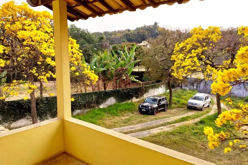 Foto 10