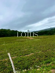 Lote/Terreno à venda, 500m² no Centro, Cotia