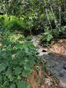 Fazenda/Sítio com 4 Quartos à venda, 1300000m² no , Jaboticatubas