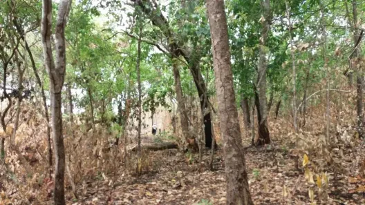 Fazenda/Sítio à venda, 10390000m² no , Alvorada