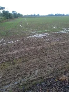 Fazenda/Sítio à venda, 23m² no Alto do Cardoso, Pindamonhangaba